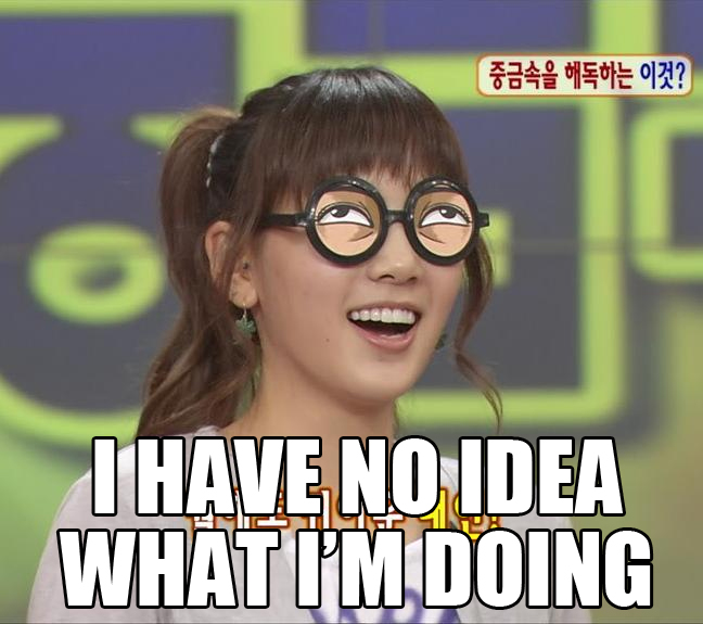 A meme of Taeyeon from Girls' Generation. The caption says "I have no idea what I'm doing."